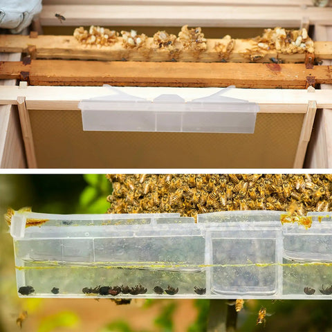 20 Pack Small Reusable Hive Beetle Guards for Bee Hives installed in a wooden frame with visible bees and SHB captured inside