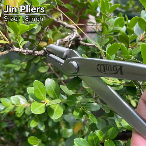 6 Piece Bonsai Tool Set Pro Grade With Concave Cutter, Knob Cutter, Jin Pliers shown trimming bonsai branch, 8 inch