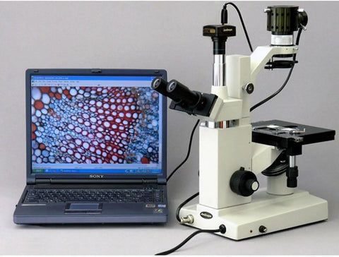 10MP USB 3.0 Microscope Camera For Real Time Live Video Crystal Clear 3584x2748 Imaging Plug And Play High Resolution Capture Easy Editing And Streaming For Lab Classroom And DIY Projects connected to microscope with laptop display