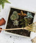 Solid Bamboo Garden Rake For Sandboxes And Landscaping next to succulent planter, eco-friendly outdoor tool in Japanese-inspired design.