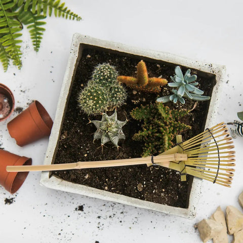 Solid Bamboo Garden Rake For Sandboxes And Landscaping next to succulent planter, eco-friendly outdoor tool in Japanese-inspired design.