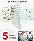 Diagram of multi-layer air filter illustrating dust and odor removal, highlighting the benefit of clean air in five minutes.