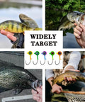 Crappie Jig Heads 40 Pack One Thirty Second Ounce Swimbait Jigs With V Sharp Barbed Hooks For Crappie And Bass Fishing High Carbon Steel Eye Clean No Paint Ready For Freshwater Angling displayed with fish catches.