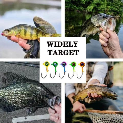 Crappie Jig Heads 40 Pack One Thirty Second Ounce Swimbait Jigs With V Sharp Barbed Hooks For Crappie And Bass Fishing High Carbon Steel Eye Clean No Paint Ready For Freshwater Angling displayed with fish catches.