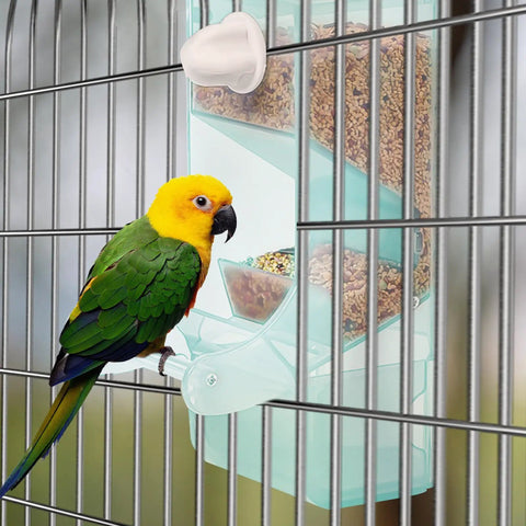 No Fuss Splash Proof Bird Feeder Cage Mount With Secure Buckle Clip And Hanging Rod For Parrots And Finches Easy Breezy Setup with parrot and seed bowl