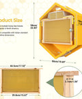 Wall-mounted hexagon beehive showing clear acrylic window and dimensions, part of Observation Beehive Starter Kit with 3 frames and 6 trays.