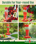 Four Upgraded 2026 Hummingbird Feeders For Outdoors 15oz Plastic Hanging Ant Proof Bird Feeder shown in backyard, garden, park, reserve