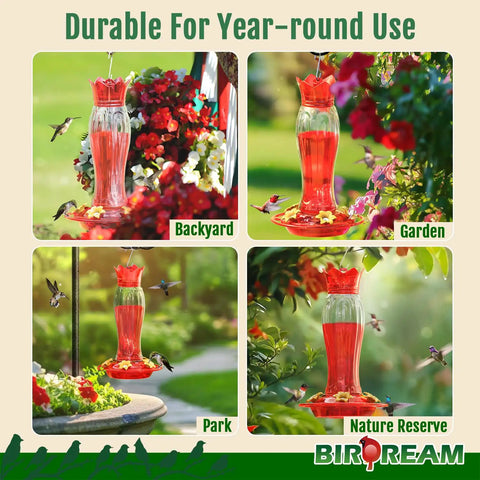 Four Upgraded 2026 Hummingbird Feeders For Outdoors 15oz Plastic Hanging Ant Proof Bird Feeder shown in backyard, garden, park, reserve