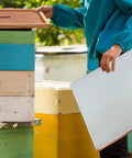 Person installing telescoping hive cover on 10-frame beehive from Durable Easy Fit Beekeeping Parts Bundle, 8 pcs