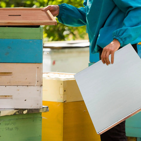 Person installing telescoping hive cover on 10-frame beehive from Durable Easy Fit Beekeeping Parts Bundle, 8 pcs