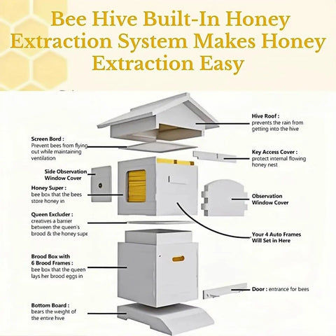 Diagram of Beekeeping Starter Kit With Self Flow Honey System Frame Complete Bee Box Featuring Observation Window And Honey Spout.