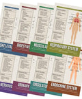 Eight Essential Human Body Systems Posters Set For Science Classrooms, A Must Have For K12 Teachers And Students, 12 x 18 Inch, covering body systems.