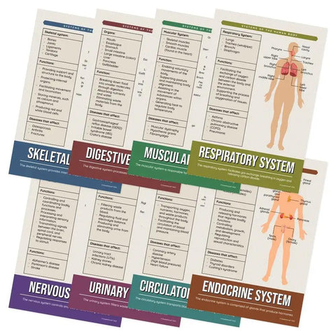 Eight Essential Human Body Systems Posters Set For Science Classrooms, A Must Have For K12 Teachers And Students, 12 x 18 Inch, covering body systems.