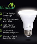 LED PAR20 Daylight Bulbs 5000K With 90 CRI Dimmable 5.5W Replaces 75W E26 Base 40 Degree Beam UL Listed Spotlight Bulbs
