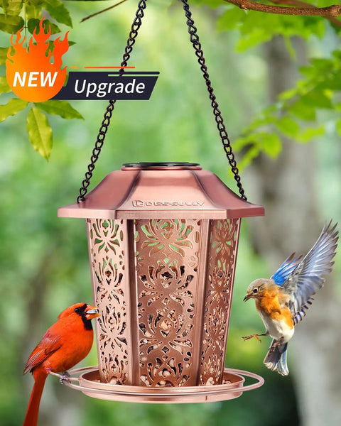 Solar Powered Bird Feeder For Outdoors Hanging Built Tough Premium Metal Construction Chew Proof Weather And Water Resistant Garden Decor Lantern By Night Dope For Yards And Patios hanging in tree with birds.