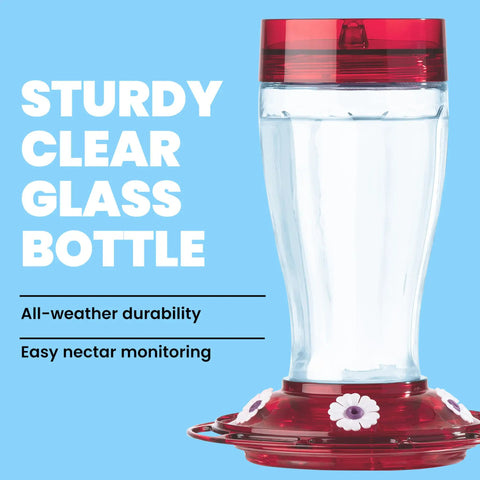 Front view of Bird Health Plus Big Gulp Hummingbird Feeder With Five Flower Shaped Ports, Glass Exterior, 40 Ounces Nectar Capacity