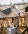 Horse and woman at wooden gate with bucket hanging on Four Pack Horse Bridle Rack Hooks, Heavy Duty Metal Wall Mount Bridle Holder Bracket