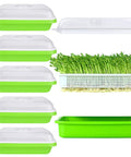 Six Pack Seed Sprouting Trays With Drain Holes BPA Free Plastic Germination Trays For Microgreens Wheatgrass Sprouting