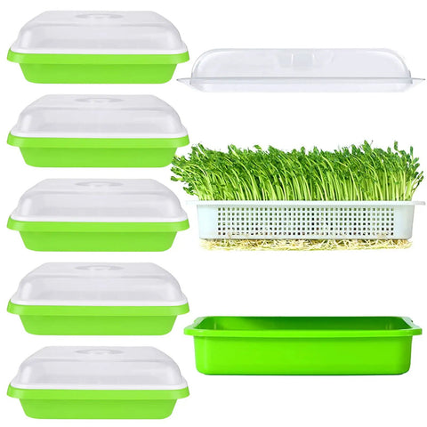 Six Pack Seed Sprouting Trays With Drain Holes BPA Free Plastic Germination Trays For Microgreens Wheatgrass Sprouting