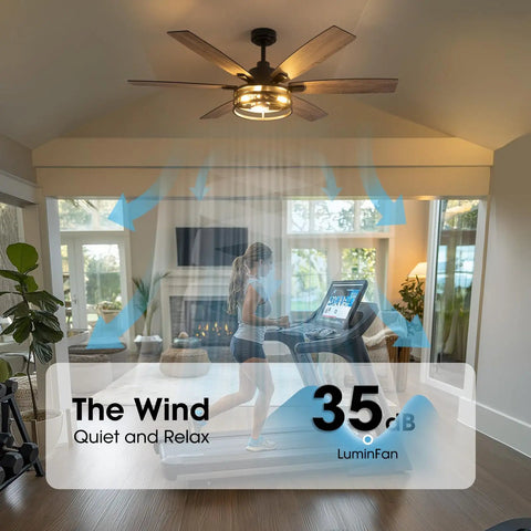 60 Inch Ceiling Fan With Lights And Remote For Indoors And Outdoors In Black Caged Farmhouse Style Perfect For Bedroom Living Room And Patio Reversible DC Motor With Six Speeds And Energy Saving, shown above a treadmill in a bright room