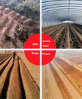Various terrains for Seed Sower And Double Mouth Fertilizer Applicator For Garden Rows Walk Behind And Push Seeding Garden Seeder
