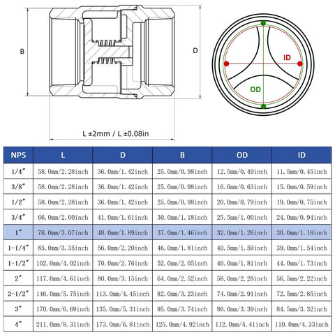 Cross-section view of 1 in NPT stainless steel spring check valve; inline vertical, non-return for oil, water, gas, air.