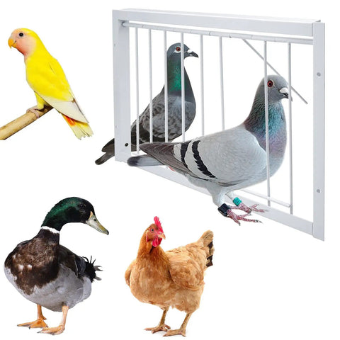 Heavy Duty T Trap Door For Pigeon Cage Iron Wire Birdcage Accessory with pigeons, duck, chicken, and parrot visible.