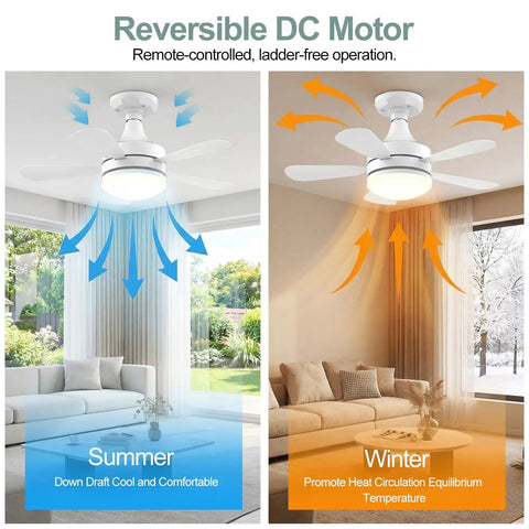 Seventeen Point Seven Inch Socket Fan Light With Remote, reversible DC motor for summer and winter, living room installation