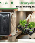 Person holding All In One Extra Tall 7.3 Inch Humidity Dome Seed Starter Tray Set Heavy Duty 1020 Size 5 Pack With Lids No Hole Flats