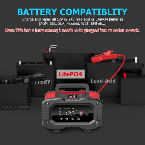 Beefy All In One 7 Stage Car Battery Maintainer And Trickle Charger in front of LiFePO4 and lead-acid battery display