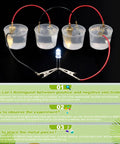 24 Fruit Battery Science Kit With Clock For Home Classroom Learning Power Up Physics Experiments With Lemons Oranges Potatoes Includes Copper And Zinc Plates Wires LEDs And Timers Kid Friendly: fruit battery cups with LED lit