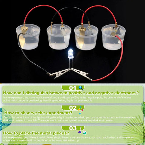 24 Fruit Battery Science Kit With Clock For Home Classroom Learning Power Up Physics Experiments With Lemons Oranges Potatoes Includes Copper And Zinc Plates Wires LEDs And Timers Kid Friendly: fruit battery cups with LED lit