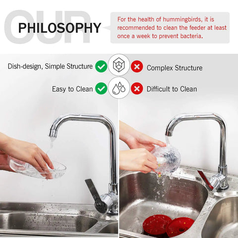 Cleaning Two Pack 16 Oz Hummingbird Feeders Dish Style Leak Proof With Built In Ant Moat And Bee Proof Feeding Ports