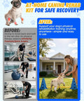 Woman training dog at home using Dog Agility Cone Set With 12 Inch Hurdle Cones, Backyard Obstacle Course Kit with crossbars.