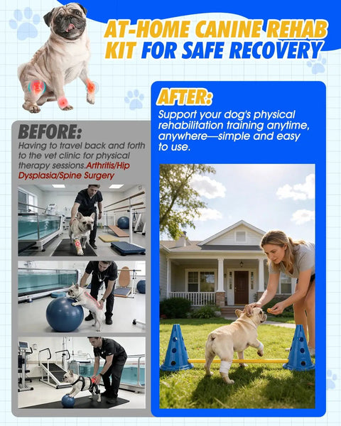 Woman training dog at home using Dog Agility Cone Set With 12 Inch Hurdle Cones, Backyard Obstacle Course Kit with crossbars.