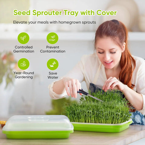 Woman harvesting sprouts from 12 Pack Green Seed Sprouter Trays With Lid For Soil Free Germination Indoors Outdoors kit.