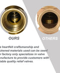 LECLOC RV temperature and pressure relief valve for electric water heaters; brass body with extended probe, 1/2 in NPT.
