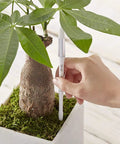 Five Pack Aquameter Soil Moisture Sensor Pen For Plants - Leave-In Moisture Meter With Continuous Readout, Fits 6 To 12 Inch Pots, White, Large Size, Great For Indoor Garden And Outdoor Containers, hand placing white pen in potted plant
