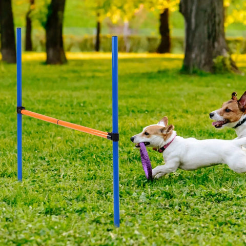 Dog Agility Travel Jump Set For Training And Fun Portable Detachable Hurdles For Obstacle Course Play with dogs jumping