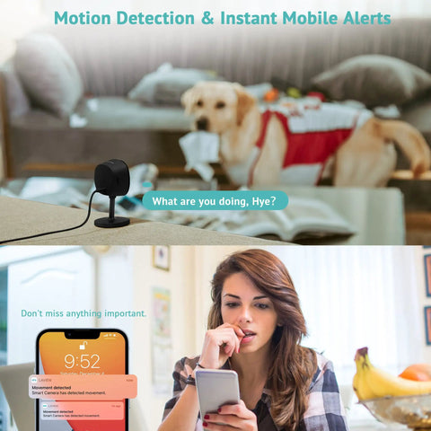 2K Indoor Home Security Camera With Crystal Clear Night Vision monitoring pet with motion alerts displayed on smartphone