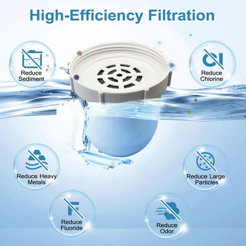 2 Pack Water Filter Replacements For Everyday Water Pitcher, 100 Gallon Service Life, Dual Coconut Shell Activated Carbon Filters Plus Pre Rinse Bag Included, highlighting filtration benefits with icons for reducing sediment, chlorine, heavy metals, fluoride, large particles, and odor.