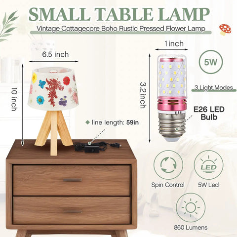 Pressed Flower Table Lamp With Gift Box Set, Cottagecore Boho Rustic Night Light for Bedroom, three-color LED bulb detail