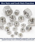 345 Piece SAE Hex Nut and Lock Nut Kit in 304 Stainless Steel with 136 Lock Nuts and 209 Hex Nuts on white background