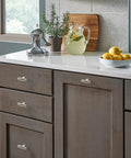Kitchen cabinets with 10 Pack Cabinet Knobs In Brushed Nickel And Gold Finishes, T Bar Pulls installed, countertops visible