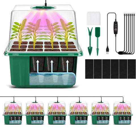 Self Watering Seed Starter Tray Kit With Grow Light And Timing Controller, 6 Pack 72 Cell showing seedlings under light