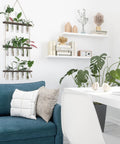Living room with Your Go To Wall Hanging Propagation Station With Wooden Stand, Five Glass Test Tubes And Three Tier Planters on wall