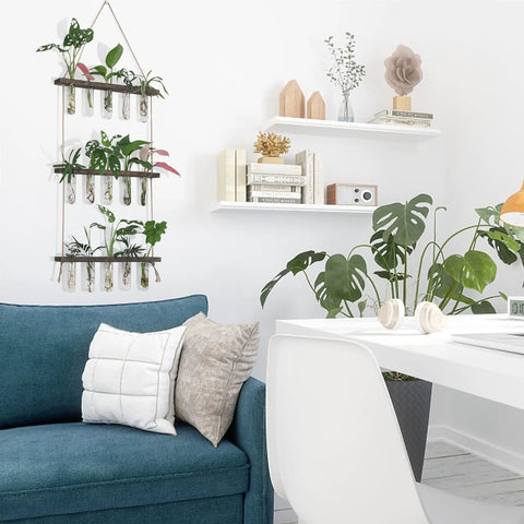 Living room with Your Go To Wall Hanging Propagation Station With Wooden Stand, Five Glass Test Tubes And Three Tier Planters on wall