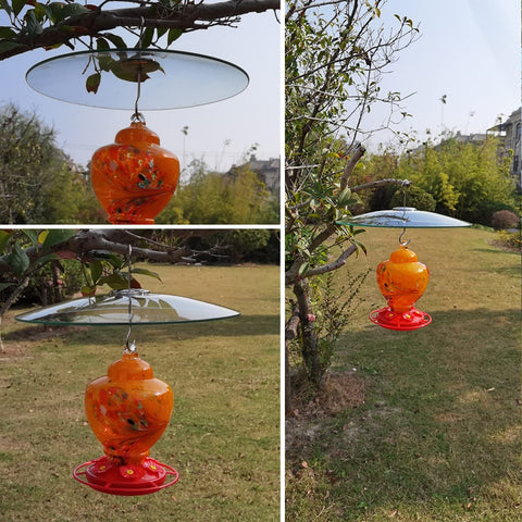 Large 13 Inch Glass Rain Cover For Outdoor Bird Feeder, Two Way Hanging shown in garden setting with orange feeder