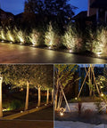 5W In Ground Well Light Kit for Landscape Pathways illuminating trees and bushes at night, low voltage 12-24V AC DC, warm white light