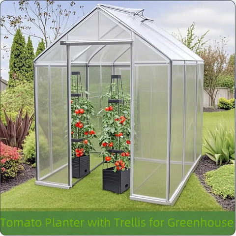 Two Pack Raised Garden Bed Planter Box With Trellis For Climbing Vegetables And Tomatoes 58 Inch Tomato Cage in Greenhouse
